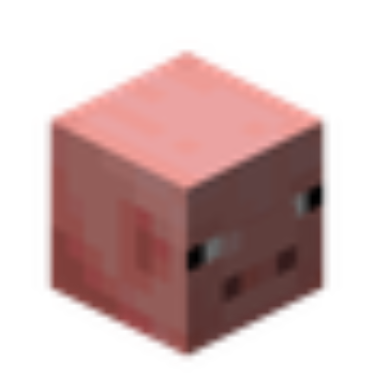 Year of the Pig